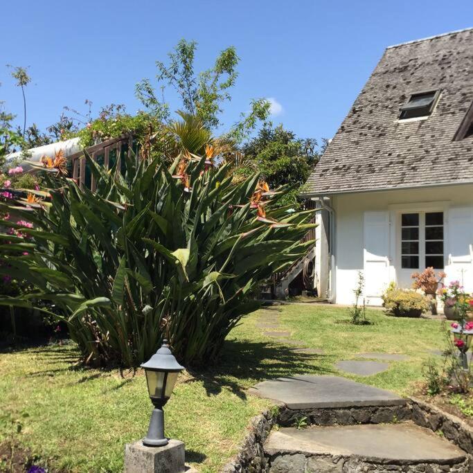Le Strelitzia 1 Daire Cilaos Dış mekan fotoğraf