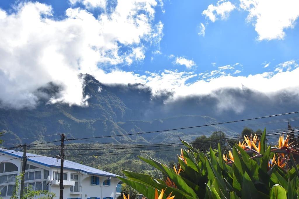 Le Strelitzia 1 Daire Cilaos Dış mekan fotoğraf